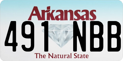 AR license plate 491NBB