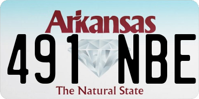 AR license plate 491NBE