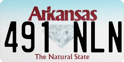 AR license plate 491NLN