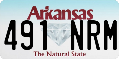 AR license plate 491NRM