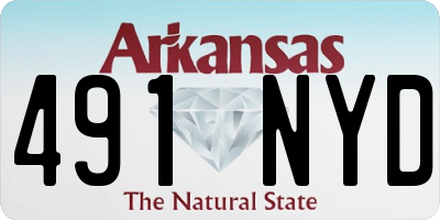 AR license plate 491NYD