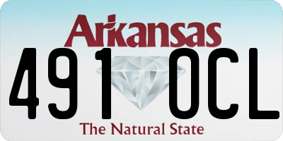 AR license plate 491OCL