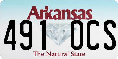 AR license plate 491OCS