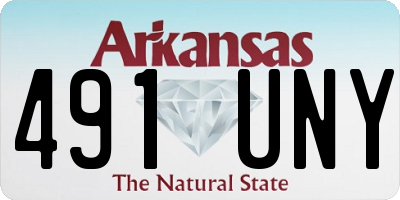 AR license plate 491UNY