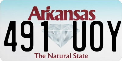 AR license plate 491UOY