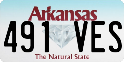 AR license plate 491VES