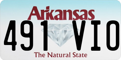 AR license plate 491VIO