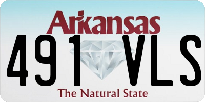 AR license plate 491VLS