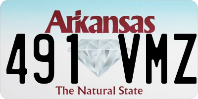 AR license plate 491VMZ