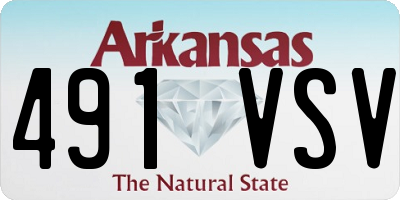 AR license plate 491VSV