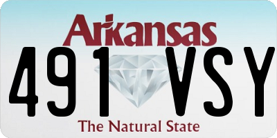 AR license plate 491VSY
