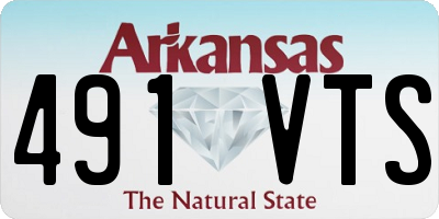 AR license plate 491VTS