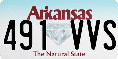 AR license plate 491VVS