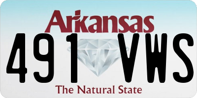 AR license plate 491VWS