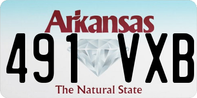 AR license plate 491VXB