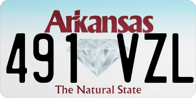 AR license plate 491VZL