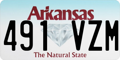AR license plate 491VZM