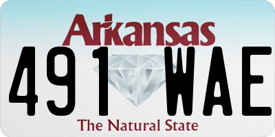 AR license plate 491WAE