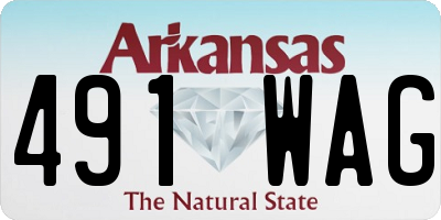 AR license plate 491WAG