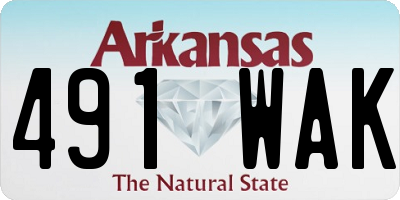 AR license plate 491WAK