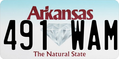 AR license plate 491WAM