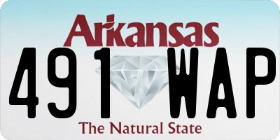 AR license plate 491WAP
