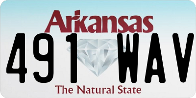 AR license plate 491WAV