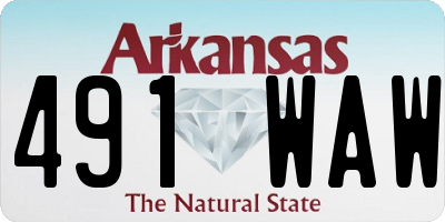 AR license plate 491WAW