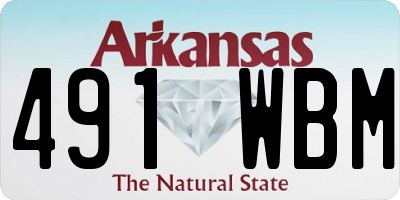AR license plate 491WBM