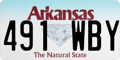 AR license plate 491WBY