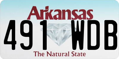 AR license plate 491WDB