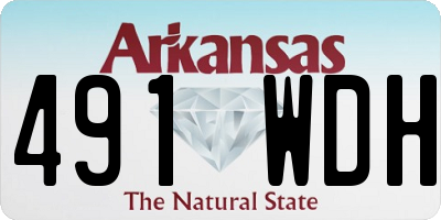 AR license plate 491WDH