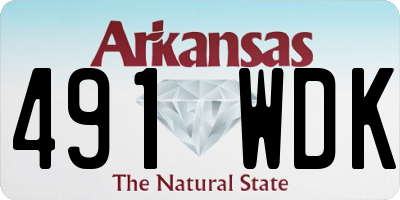 AR license plate 491WDK