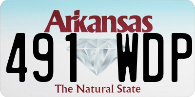 AR license plate 491WDP