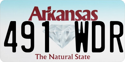 AR license plate 491WDR
