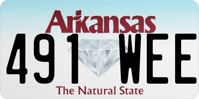 AR license plate 491WEE