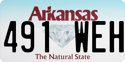 AR license plate 491WEH
