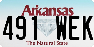 AR license plate 491WEK