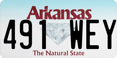 AR license plate 491WEY