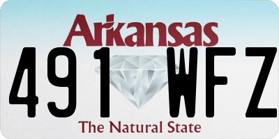AR license plate 491WFZ