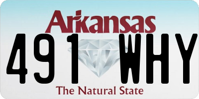 AR license plate 491WHY