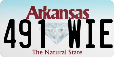 AR license plate 491WIE