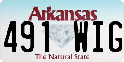 AR license plate 491WIG