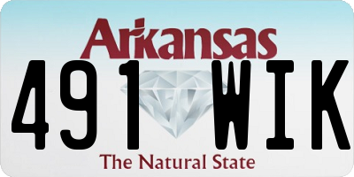 AR license plate 491WIK