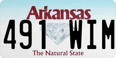 AR license plate 491WIM