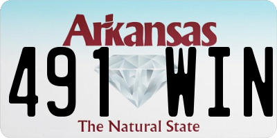 AR license plate 491WIN