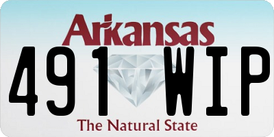 AR license plate 491WIP
