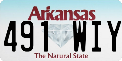 AR license plate 491WIY