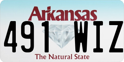 AR license plate 491WIZ