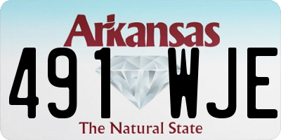 AR license plate 491WJE